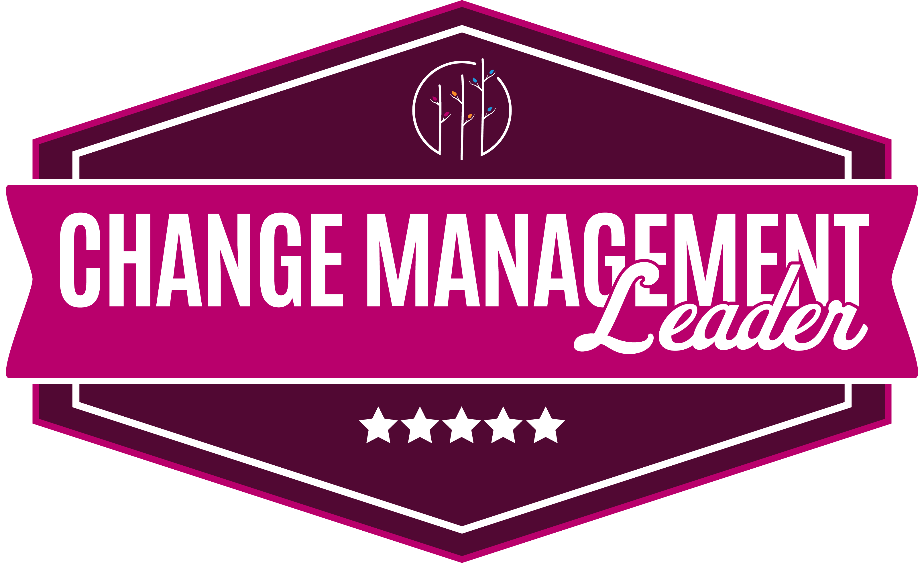 Change Management Leader